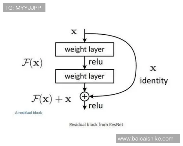 周一与周五上学的不同体验与学习效率的深度探讨